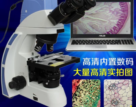 Belona/贝朗 内置数码专业LED生物...