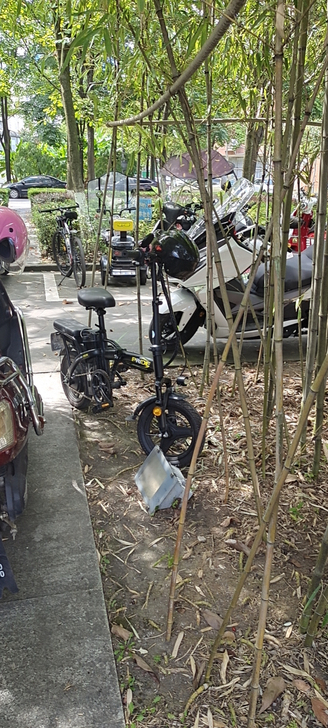 电动自行车,折叠自行车,已上牌,可用来代驾,