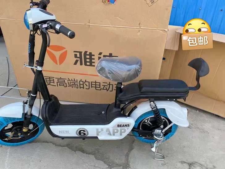 全新未拆封带证书可拆卸电池电动车可提电瓶