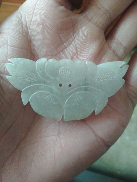 老翡翠帽花种水不错，个头大！