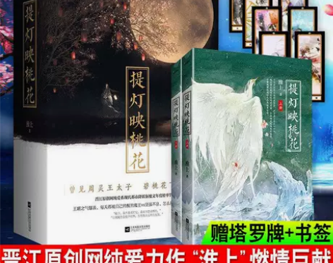 提灯映桃花上下2册 淮上著 破云作者言情青...