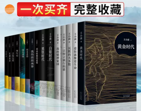 文学书籍文学王小波的书全套共15册黄金时代...