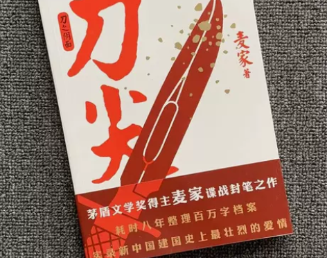 刀尖:刀之阴面历史小说 刀尖:刀之阴面历史...