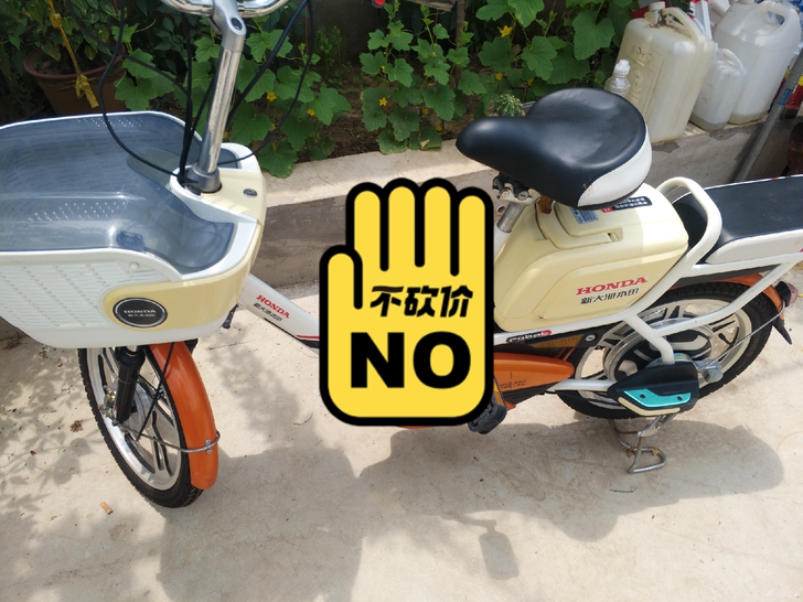 新大洲本田A1电动车，48V12A电池。
