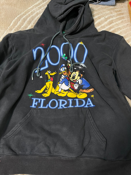 正在施工/秋季薄款卫衣 新旧程度最接近图一...