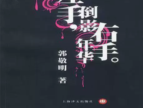 左手倒影,右手年华/郭敬明 郭敬明文集—左...