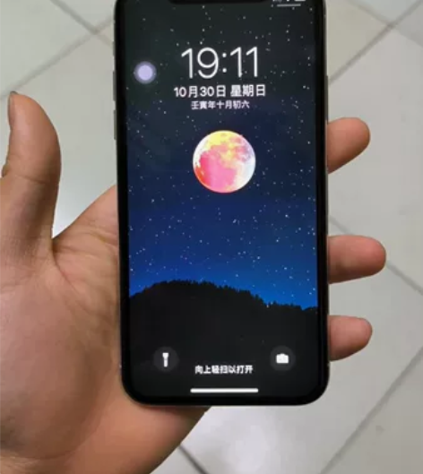 Apple/苹果 iPhone X 什么毛...