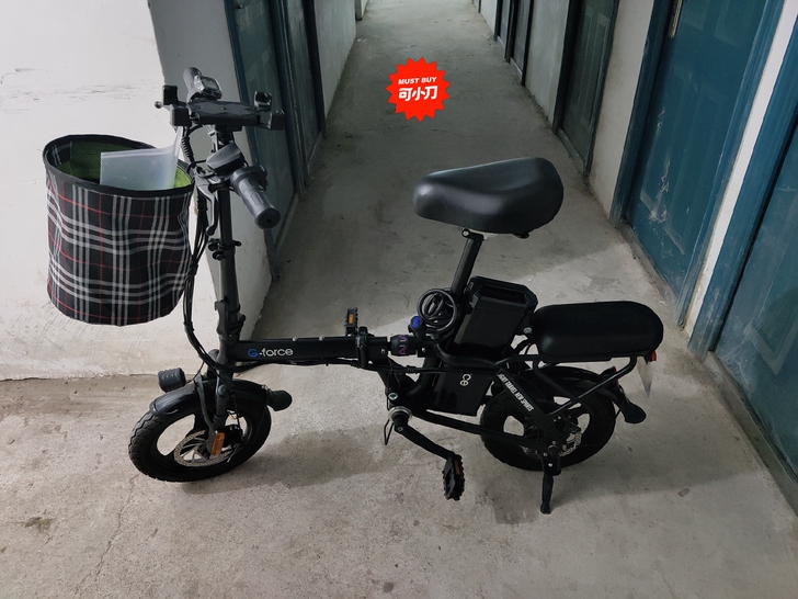 G-FORCE Z14 电动自行车，无链条...