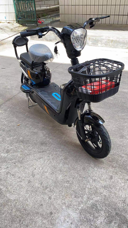 雅迪同款 五羊电动车 48V