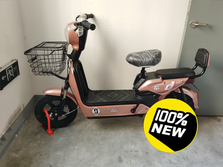 全新未使用，已有电瓶车，闲置，有发票可上牌...