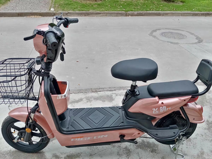 全新电动自行车2021年新款成人版，