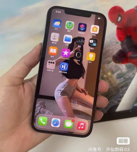 iPhone 12 Promax  有面容...