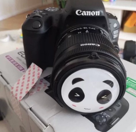 Canon/佳能 EOS 200D II ...