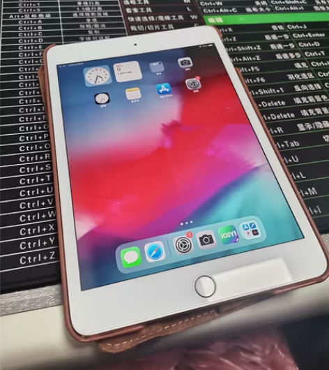 Apple苹果 iPad mini5（20...