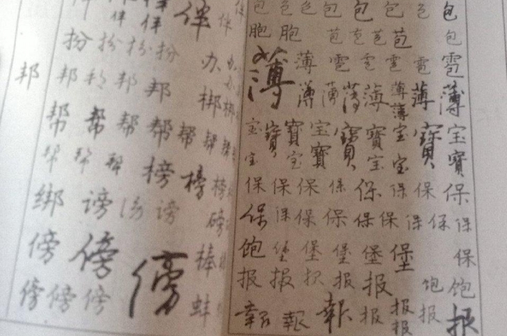 钢笔字帖字典，看着挺有意思~