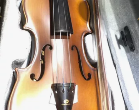【小提琴】韩产，价格惊人，拿回去当摆件吧。...