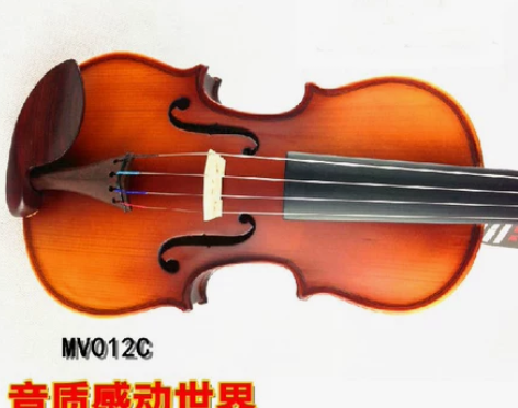 凤灵MV012C 表演初学者教学学生培训小...