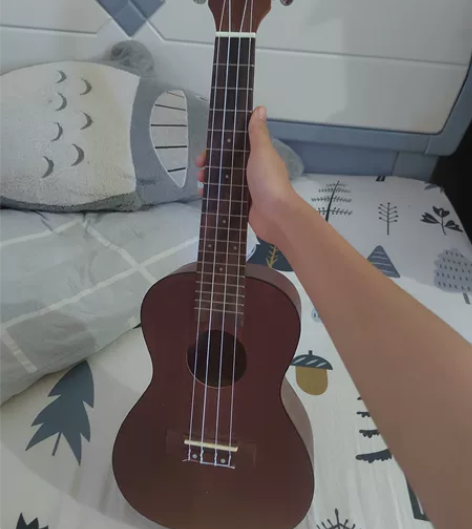 尤克里里全新 是在线下琴行购买的 放在家里...