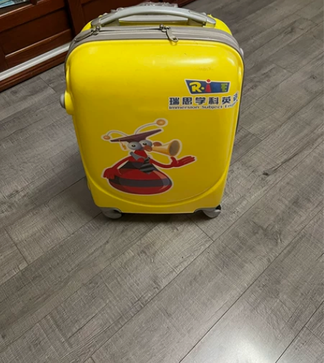 学生儿童拉杆箱登机箱，全新，万向轮，密码锁...