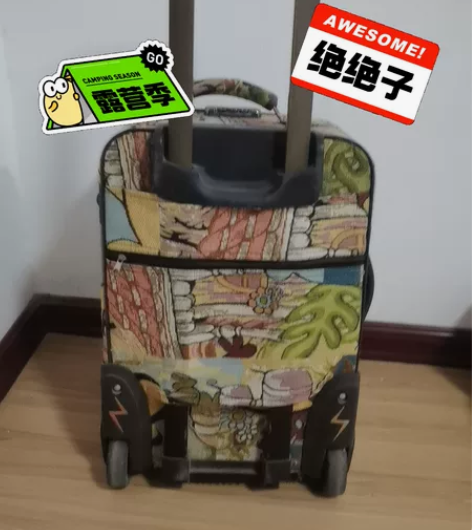 卡通拉杆箱万向轮20寸花色旅行男女[hot...