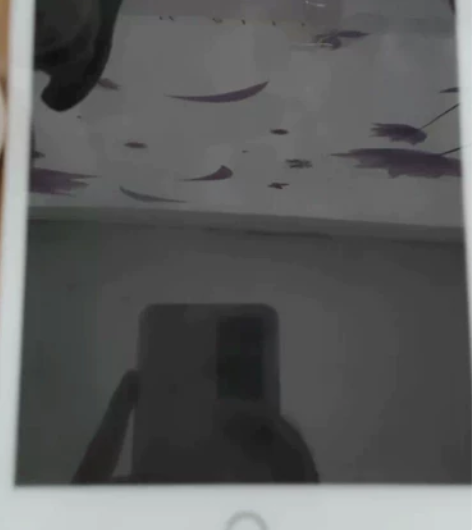 iPad迷你5 内存64g白色全原装爱思全...