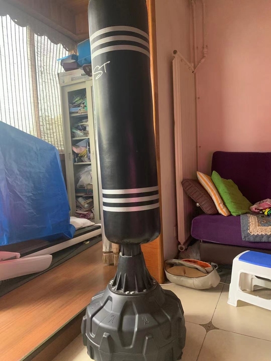 拳击运动架，基本全新，买来没用过几回，仅限...