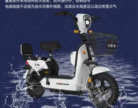 飞鸽新国标电动车厂家直销48V伏电瓶车两轮...