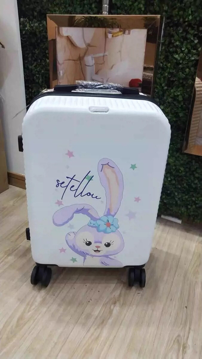 出一个行李箱，用了几次95新