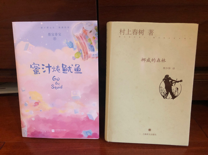 家里闲书《蜜汁炖鱿鱼》、《挪威的森林》，打...