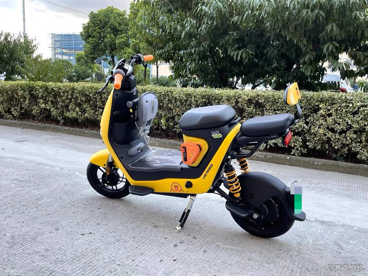 九号电动漂亮的小鸡包包，，可惜我是熊车车，...