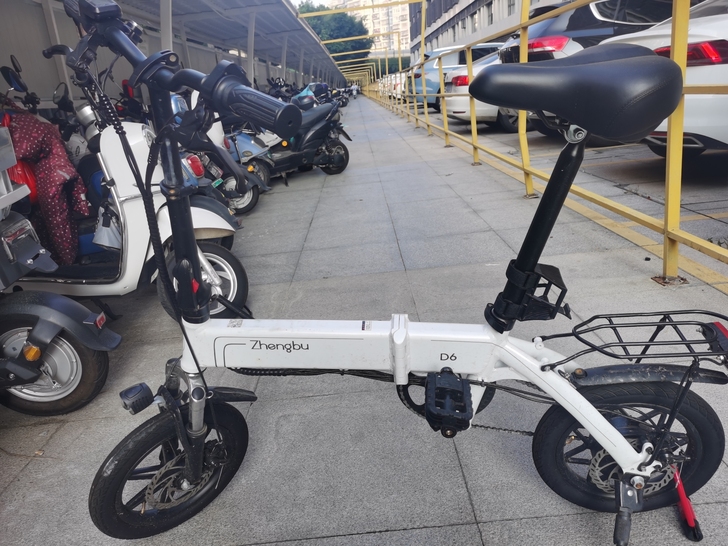 正步的电动车自行车