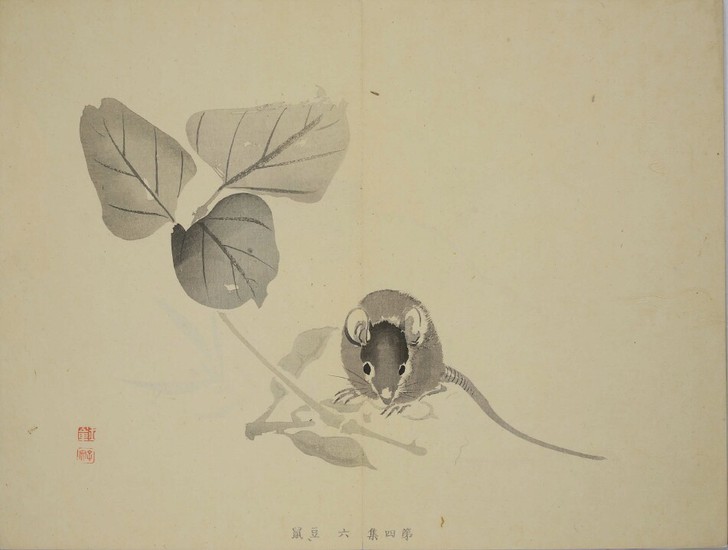 习画百题临摹作品，川端玉章画。经典墙壁装饰...