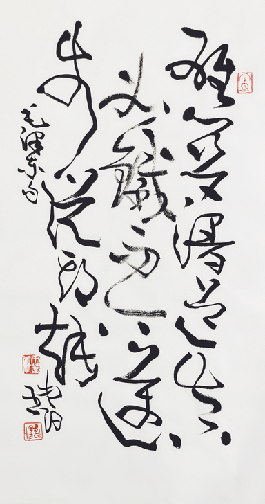 丁申阳书法，74/40