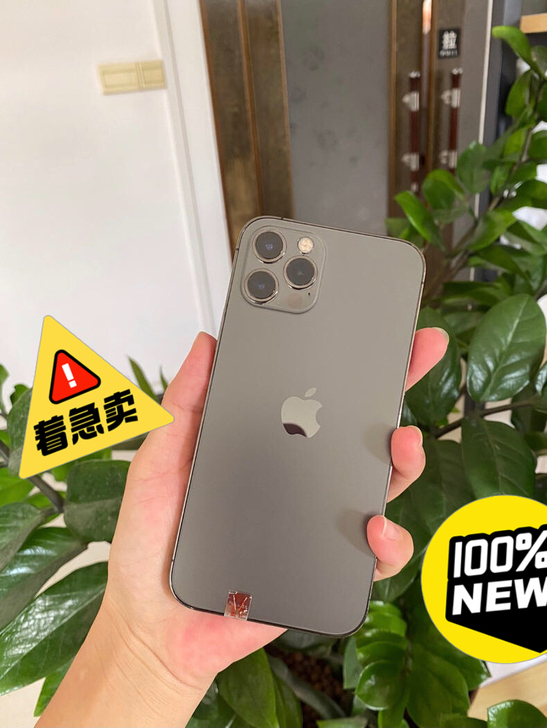 苹果12proMax 256G 全网通5G...