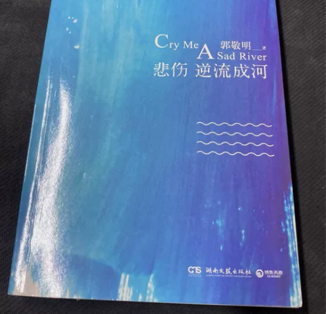 悲伤逆流成河 郭敬明 湖南文艺出版社 正版...