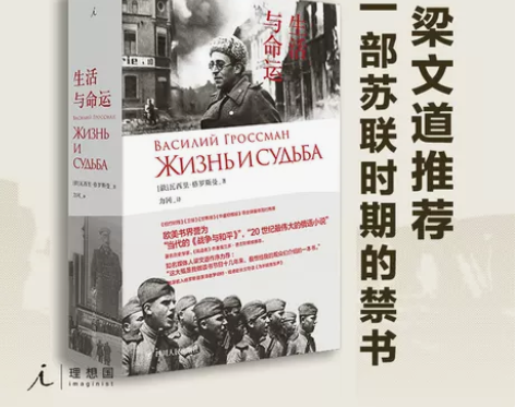 理想国正版现货生活与命运 瓦西里...