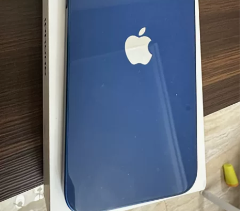 Apple/苹果 iPhone 12蓝色1...