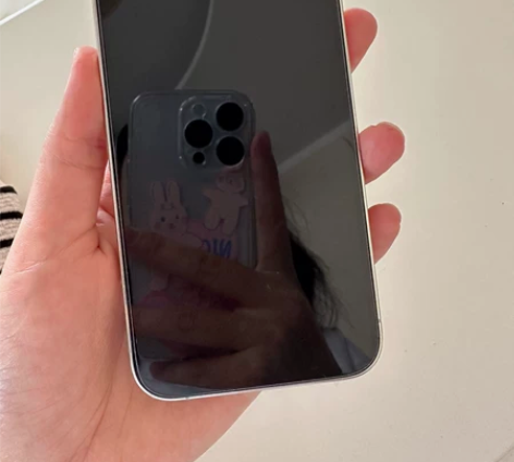 自用苹果12pro，挺新的没有任何磕碰，2...