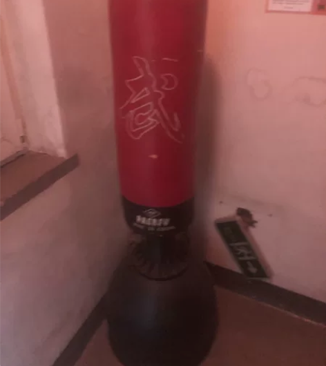 拳击小高手加油，配送新手套一副，限沈阳区域...