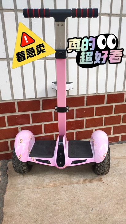 森旅54伏高端智能平衡车，实物拍摄，新旧如...