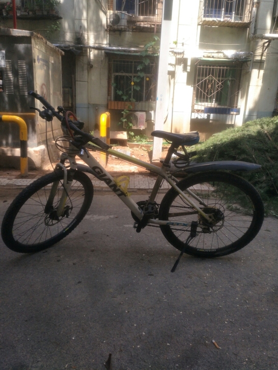 捷安特山地车前变速器最小挡变不上去，车座有...