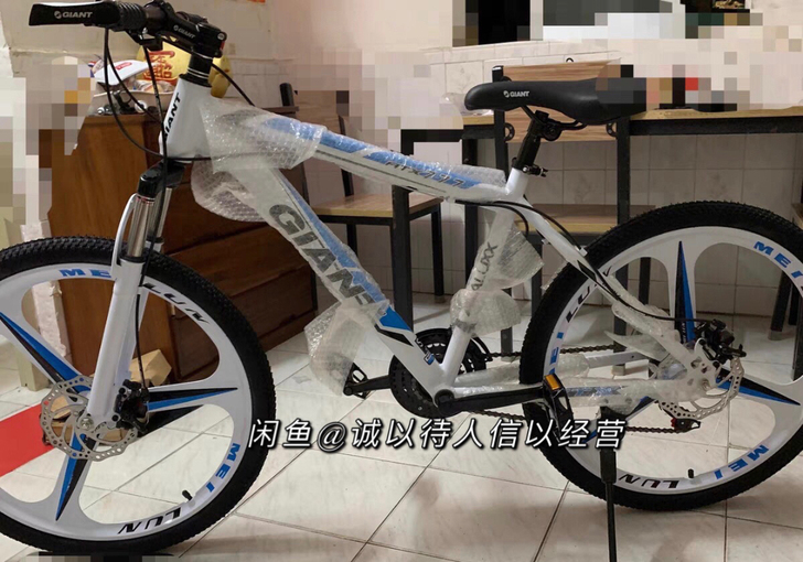 全新正品捷安特山地车公路车自行车非二手学生...