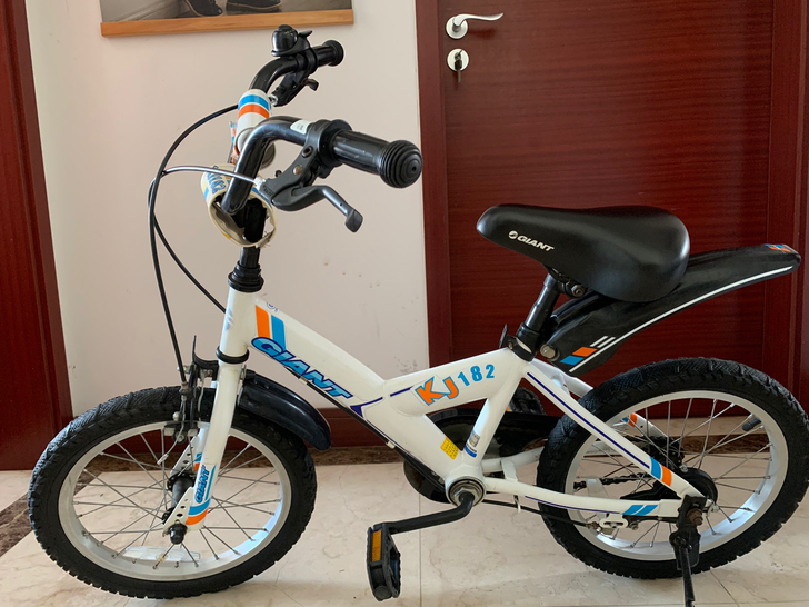 八五成新捷安特儿童自行车，专卖店购买，自己...