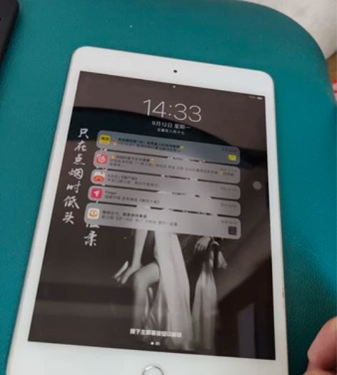 ipad  mini5  银色64G   ...