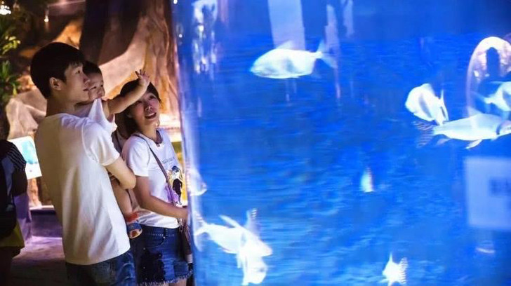 杭州8000㎡『江和美海洋公园』卡通娃娃打...