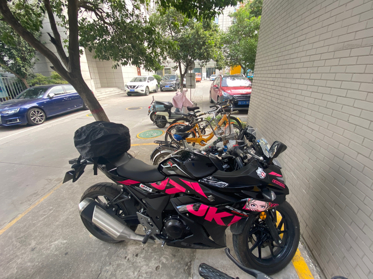 Suzuki/铃木GSX250 21款 已...