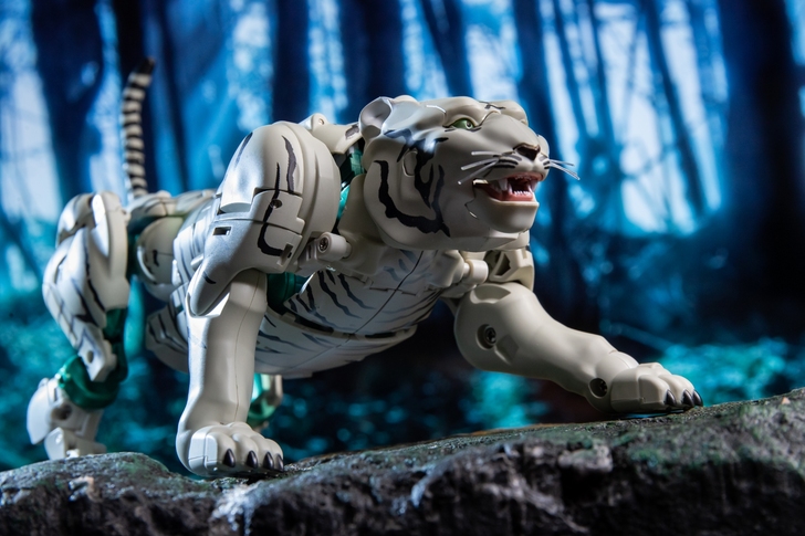 bw-10白虎勇士 猛兽侠 现货