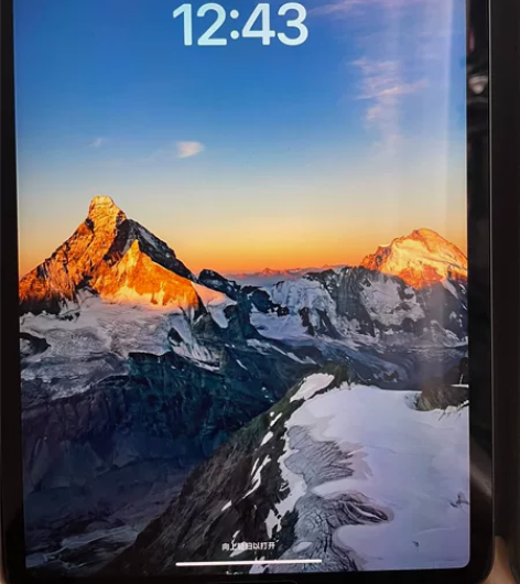 Apple/苹果 iPad Pro 11英...