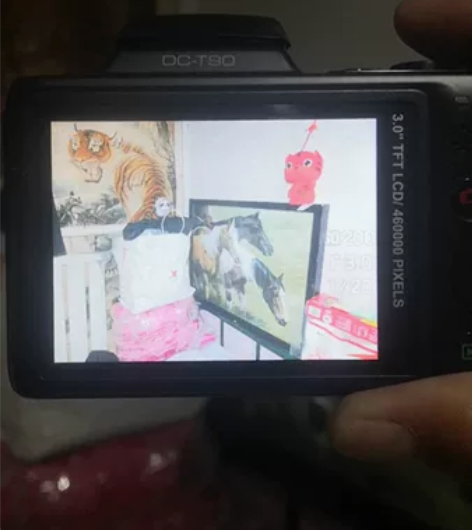 爱国者数码相机，型号DC-T90，品相完美...