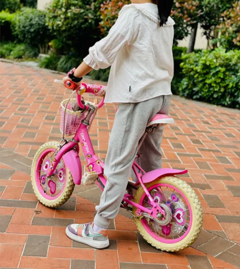 Phoenix/凤凰 自行车 闲置在家了，...